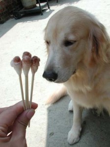 1380946034-3070206104