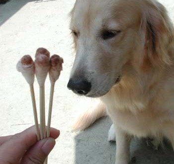 1380946034-3070206104