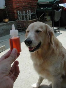 1380946034-546747203