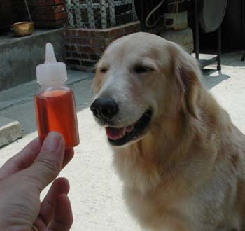 1380946034-546747203