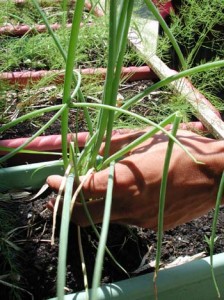 1380946035-1873914269