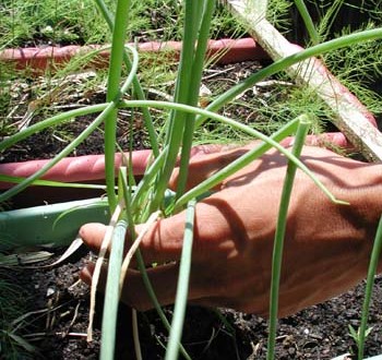 1380946035-1873914269