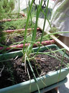 1380946036-1097426359