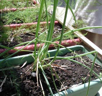 1380946036-1097426359