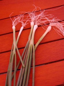 1380946037-1927198393