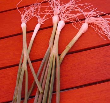 1380946037-1927198393