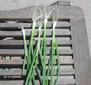 1380946037-3066197110