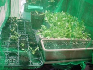 1380946038-3299687656