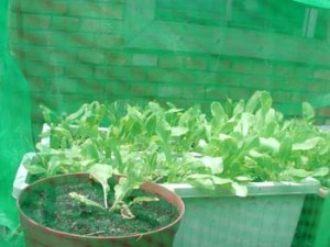 1380946039-1457186673