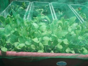 1380946039-3538134340