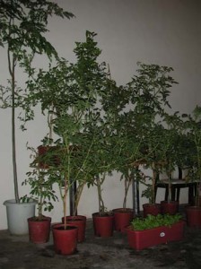 1380946044-3299619413