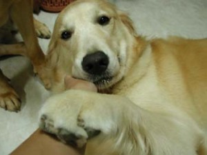 1380946048-1173391916