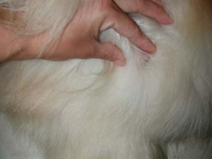 1380946049-165775956