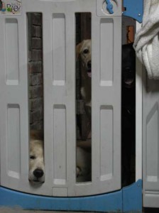 1380946050-3557145151