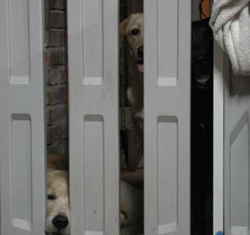 1380946050-3557145151