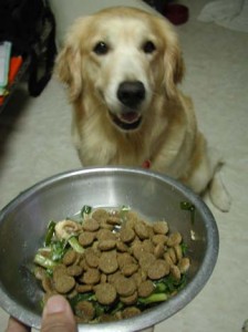 1380946051-2172188924