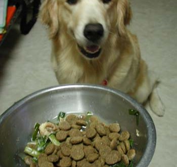 1380946051-2172188924