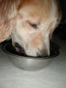 1380946051-3378798804