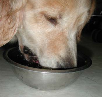 1380946051-3378798804