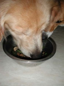 1380946052-683433441