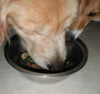 1380946052-683433441