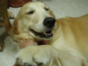 1380946053-2522845106