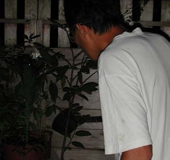 1380946055-2519570568