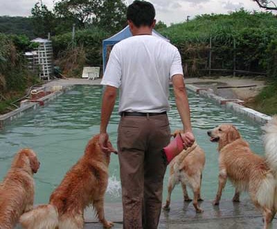 親子日,戲水日