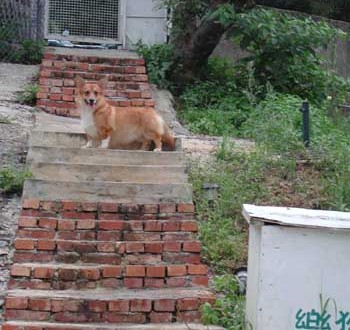 1380946066-3170611688