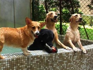 1380946068-1963180922