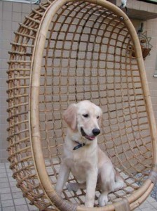 1380946068-4073710026