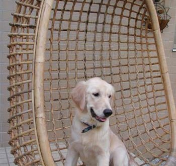 1380946068-4073710026