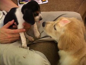 1380946073-2143244471