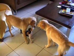 1380946074-2341501807