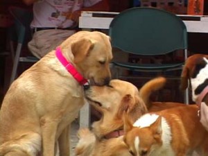 1380946075-3160546584