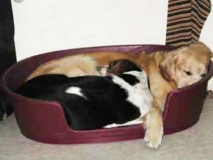 1380946075-899180123