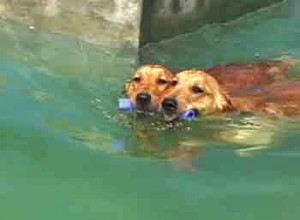 1380946076-1213313710