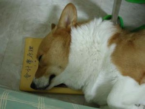 1380946076-2127487887