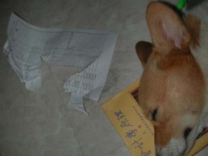 1380946077-2684787230