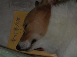 1380946078-276257624