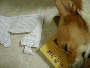 1380946078-3029054171