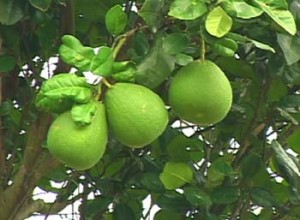 1380946079-1224551330