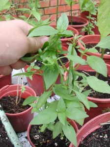 1380946080-1231067599