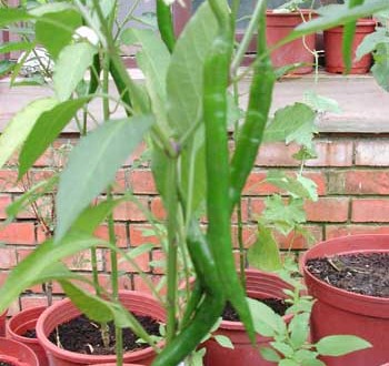 1380946081-2471705768