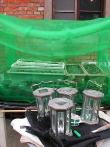 1380946081-2518488050