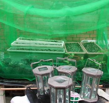 1380946081-2518488050