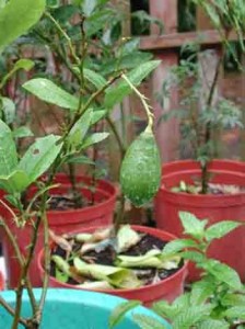 1380946081-4225477690