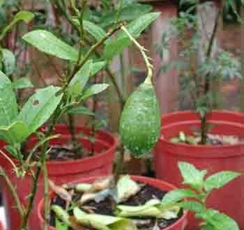 1380946081-4225477690