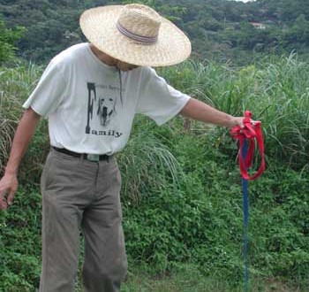 1380946083-3248665410