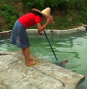 1380946084-3951660771